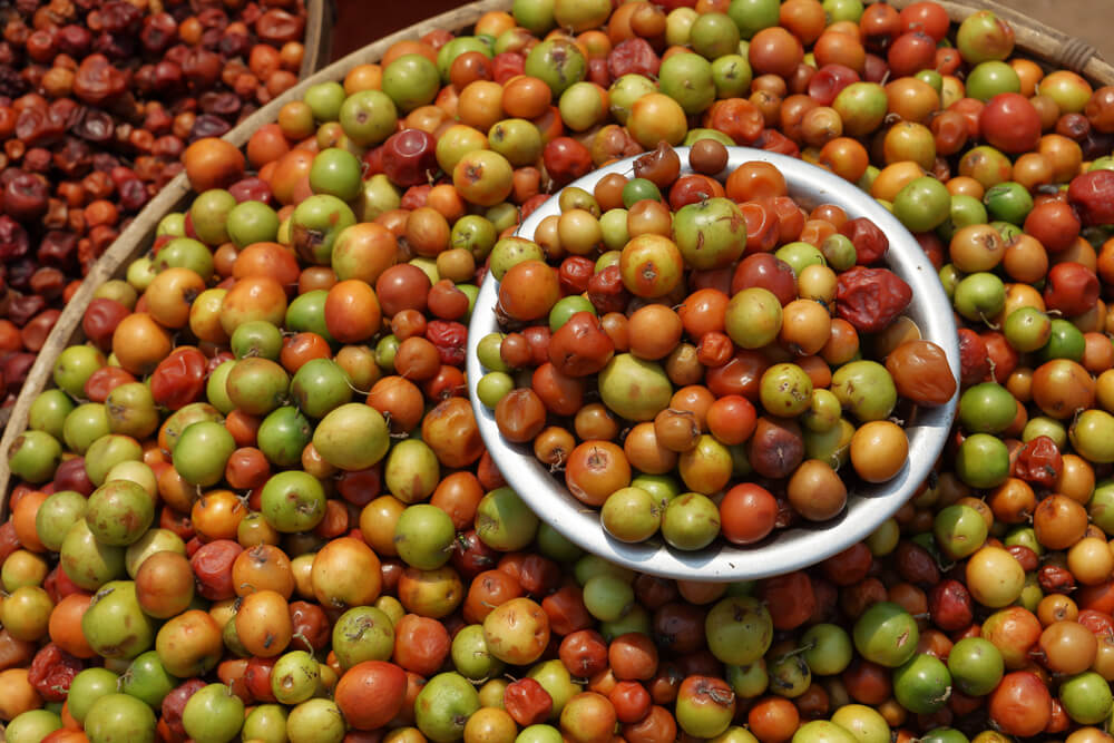 Marula fruits